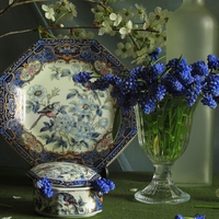 still life