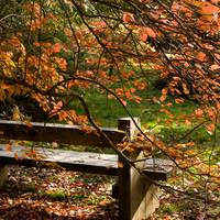 Autumn-HDR