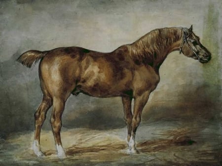 Horse painting - run, horse, field, painting, nature