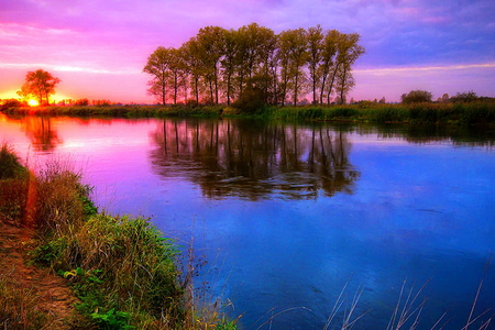 Stillness - reflections, sky, lake, trees, pink, water, stillness, sunset