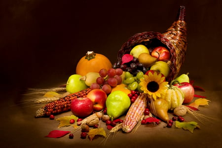 CORNUCOPIA - fall, harvest, cornucopia, basket