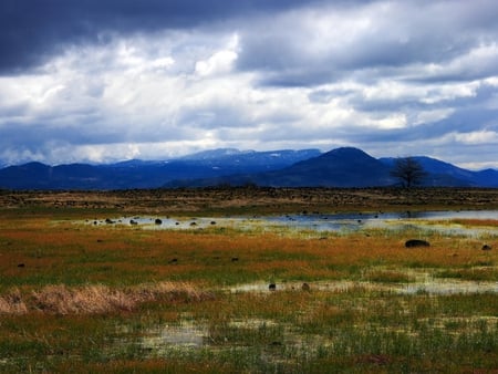 Land Flood - rain clouds, fields, sky, water, flood, mountains