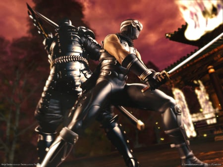 ninja gaiden - sword, ninjas, fire, building