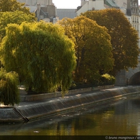 Along The Seine