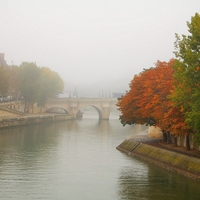 A Misty Autumn in Paris