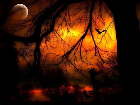 Halloween Night - moon, bat, night, tree