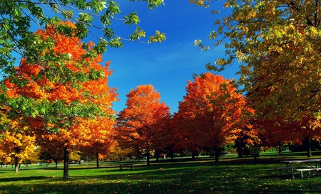 Park - nature, park, autumn, other