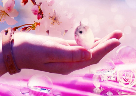 My little friend - animals, others, pink, cute, flowers, small, hand