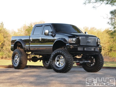 Metamorphosis - black, swampers, lifted, ford