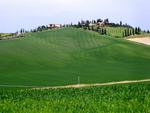 Tuscany Landscape