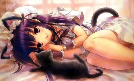 Anime Girl - cat, anime, girl, other