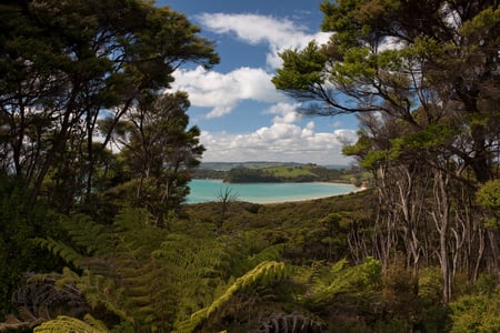 New Zealand - clouds, trees, vivid color, water, green foliage