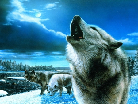 WOLVES HOWL