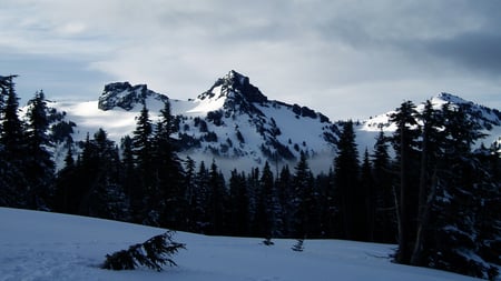 Mt. Rainier, Washington - peak, winter, washington, summit, hill, ice, nature, mountain, snow