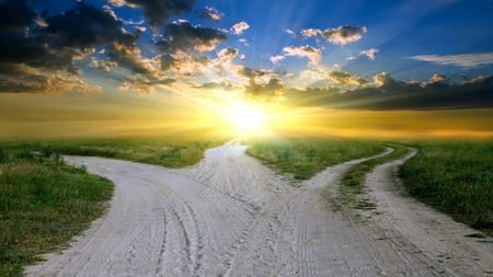 Path to the Light - beautiful, sunshine, grass, light, three, mud, golden, pathway, sky