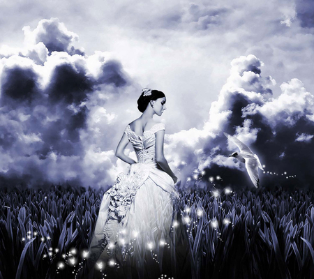 Princess of Nature - clouds, bird, bride, elegant, fields, beautiful, fireflies, nature, princess, black and white