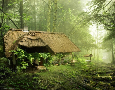 fantasy place - forest, fantasy, trees, cabin, abstract, green