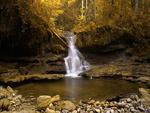 Forest Waterfall