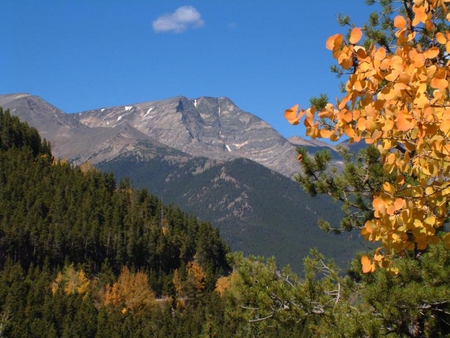 Rocky Mountain - sky, mountain, trees, rocky