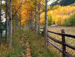 Walking Along  in a Trail