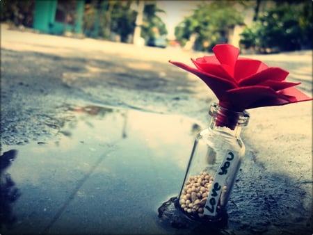 message in a bottle - love, abstract, photography, romance, bottle, you, flower