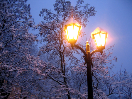 evening lights - winter, photography, evening, snow, dusk