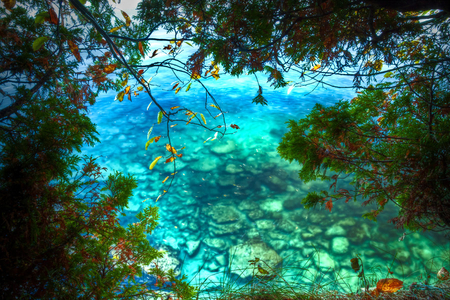 a_secret_place. - nature, 3d, leafs, water, clear