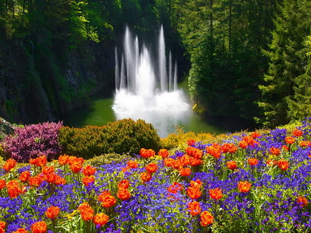 Fountain - nature, fountain, tulips, water, park, flowers, colors