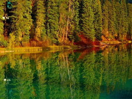 Autumn silence - fall, silence, water, reflection, river, trees, nature, autumn