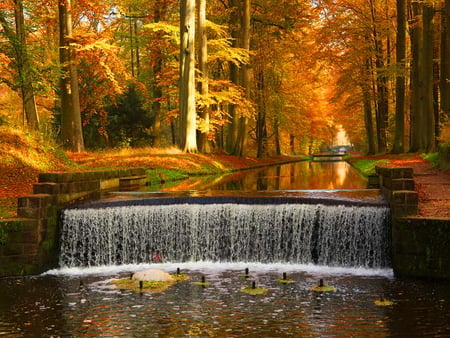 Autumn cascades - fall, cascades, water, nature, autumn, colors, leaves