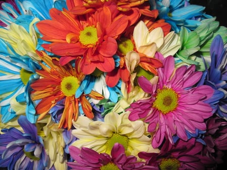 Bouquet of flowers to say Thank you  - flowers, yellow, purple, blue, red, photography, Daisy, pink