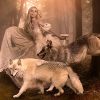 Girl with Wolves