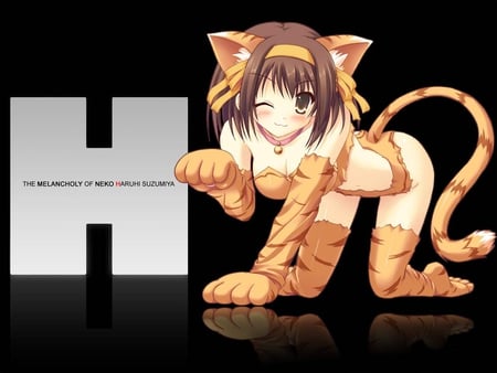 nekomimi-haruhi-suzumiya