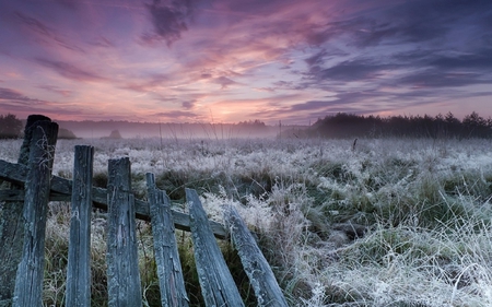 Frost - ice, sky, fence, winter, sunset, field, nature, pink, blue, beautiful, clouds, frost