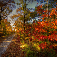 Autumn-HDR