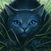 Warrior cats