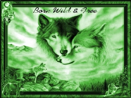 BORN WILD & FREE - free, green, wolves, wild