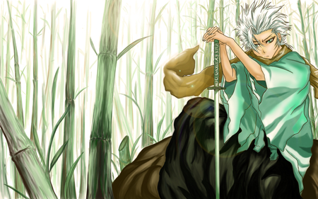 Hitsugaya Toushirou - bleach, scarf, zanpakuto, hitsugaya toushirou, toushirou, green eyes, toshiro, zanpakutou, toushiro, anime, weapon, sword, bamboo, short hair, white hair, toushirou hitsugaya