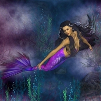 PURPLE MERMAID