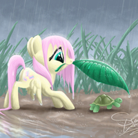 Fluttershy