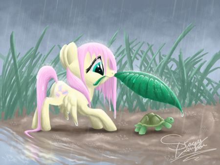 Fluttershy - fluttershy, mylittlepony, sweet, rain