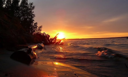 Sunset - trees, sunset, nature, ocean, other