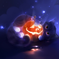 Cat and pumpkin