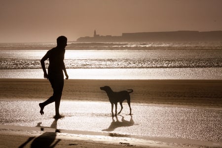 best friend - animals, rays, sands, beach, man, dog