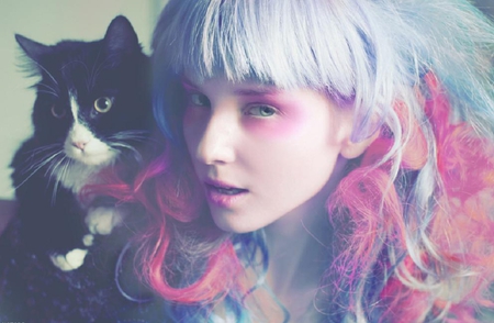 beauty and the kitty - nice, beauty, cat, female, kitty, animals, colorful, make-up, lovely, kitten, face, pretty, artistic