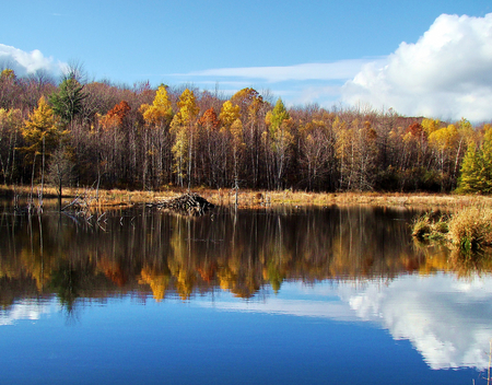 November - beauty, sky, landscape, popular, water, image, nature, lakes, reflection, clouds, blue, colors, november