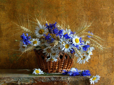 Still life - pretty, delicate, blue, beautiful, lovely, still life, harmony, flowers, basket, daisies, nice