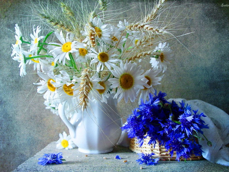 Still life - pretty, vase, delicate, blue, beautiful, lovely, still life, harmony, flowers, daisies, nice