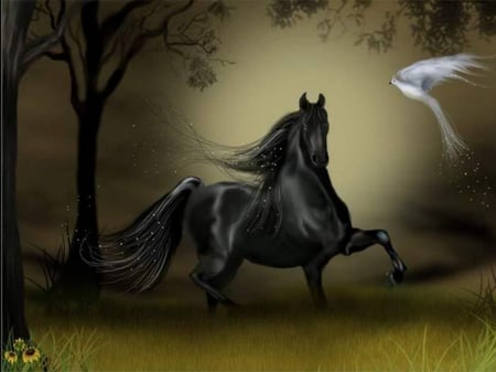 BLACK MAGIC - white, horse, magic, black, bird