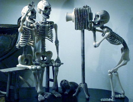 THE PHOTOGRAPHER - picture, bones, portrait, skeletons, photograph